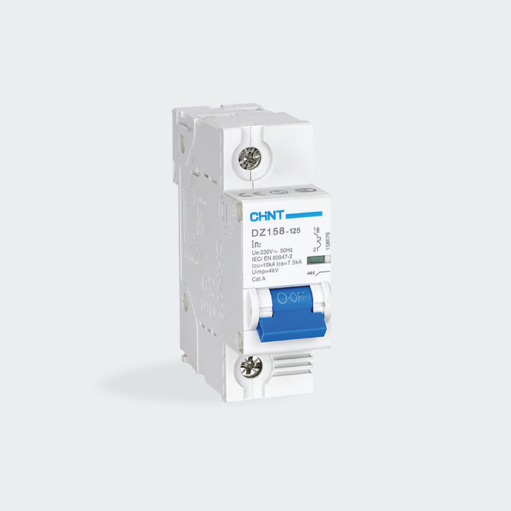 CHINT Main Miniature Circuit Breaker (MCB) - 2 Pole