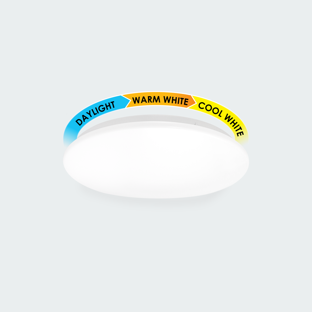 Firefly Basic Series LED Ceiling Lamp