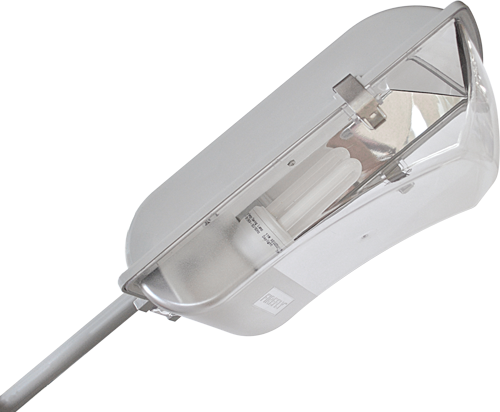 Firefly CFL Security Light