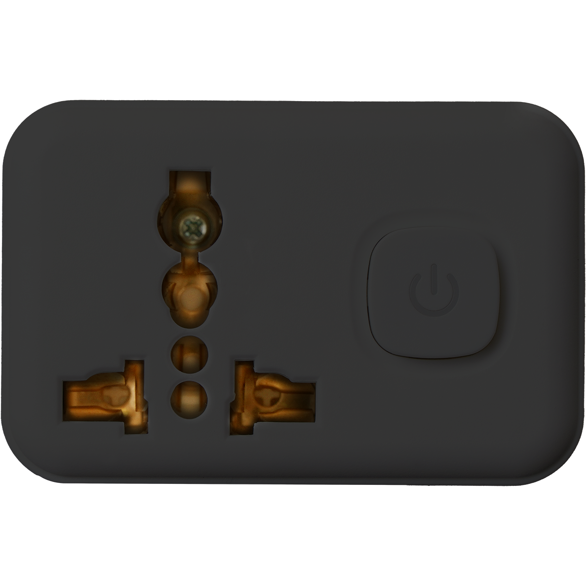ROYU International + 1Flat Adapter w/ PB Switch