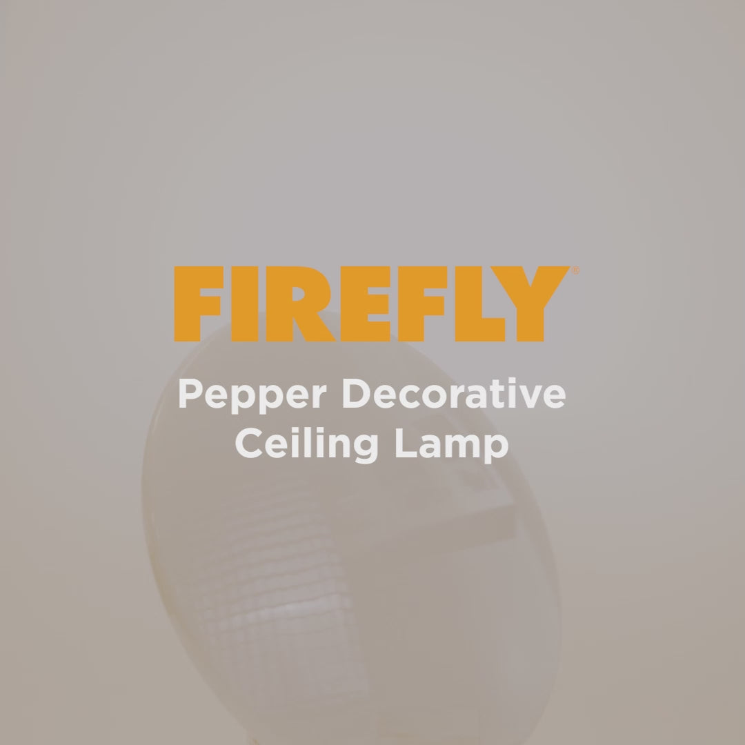 Load video: Firefly Basic Series LED Ceiling Lamp