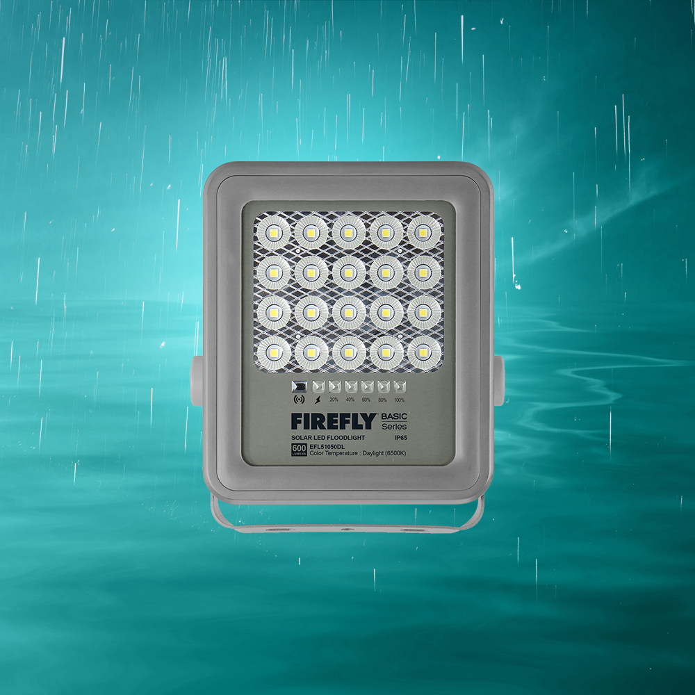 Solar Lighting