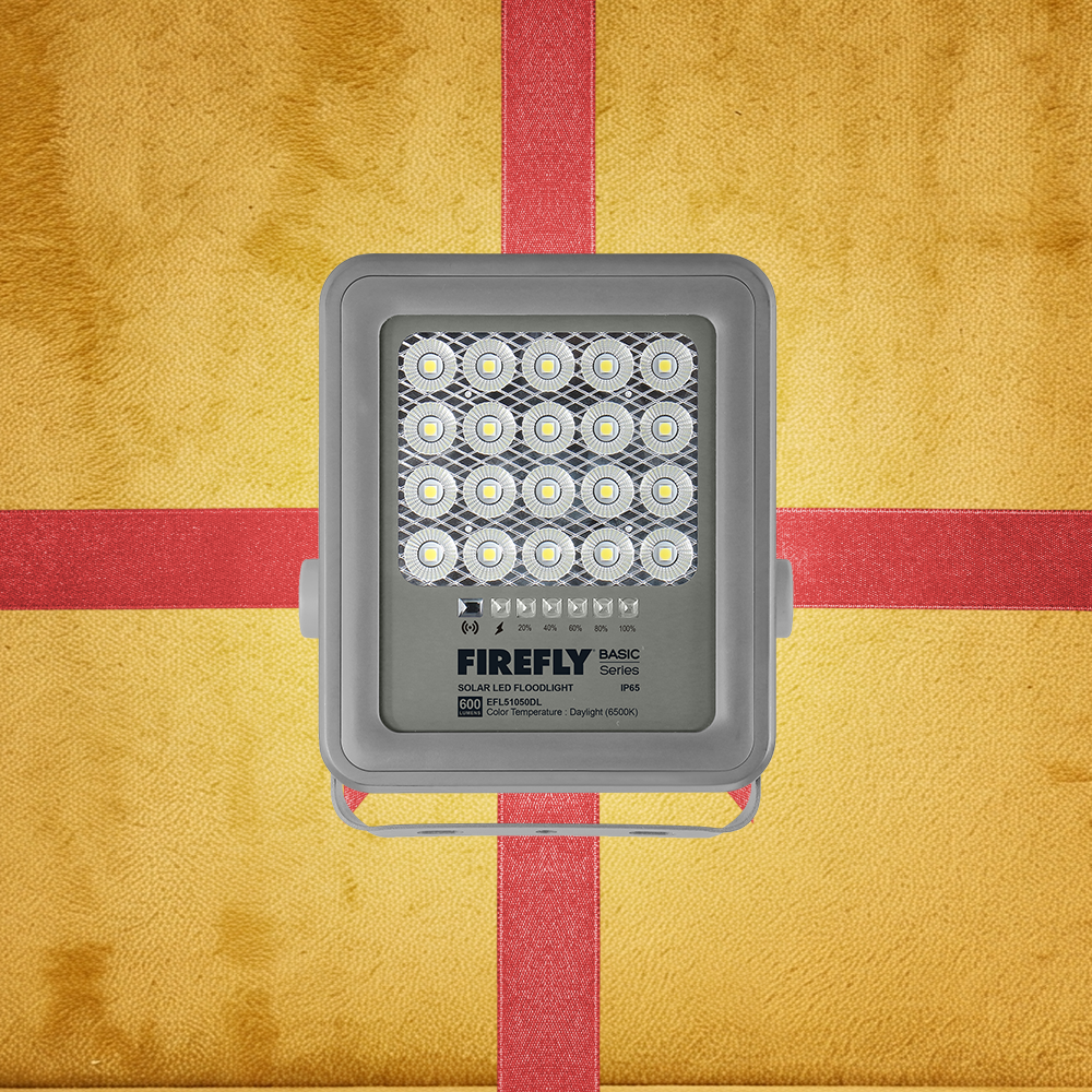 Solar Lighting