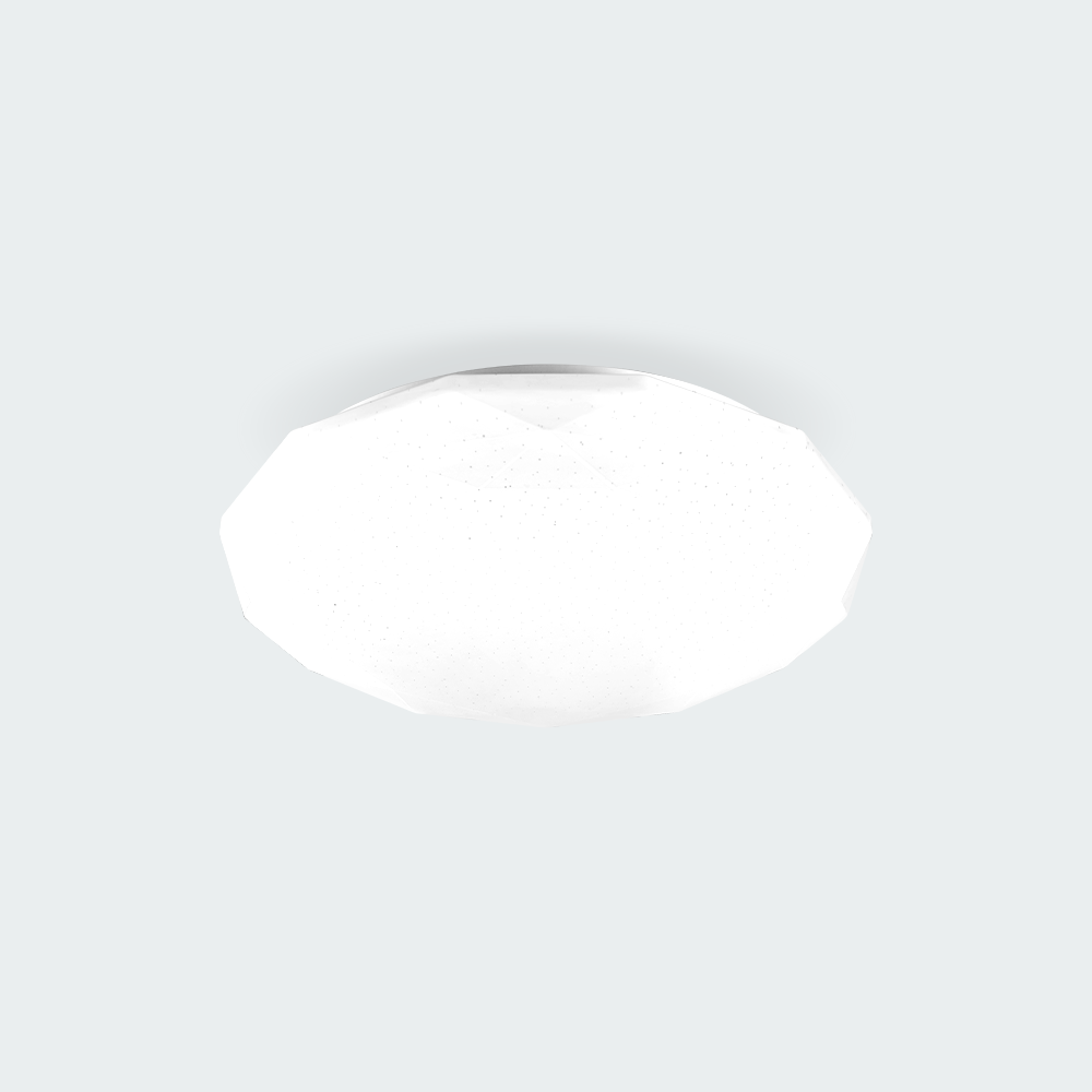 Ecolum LED Ceiling Lamp