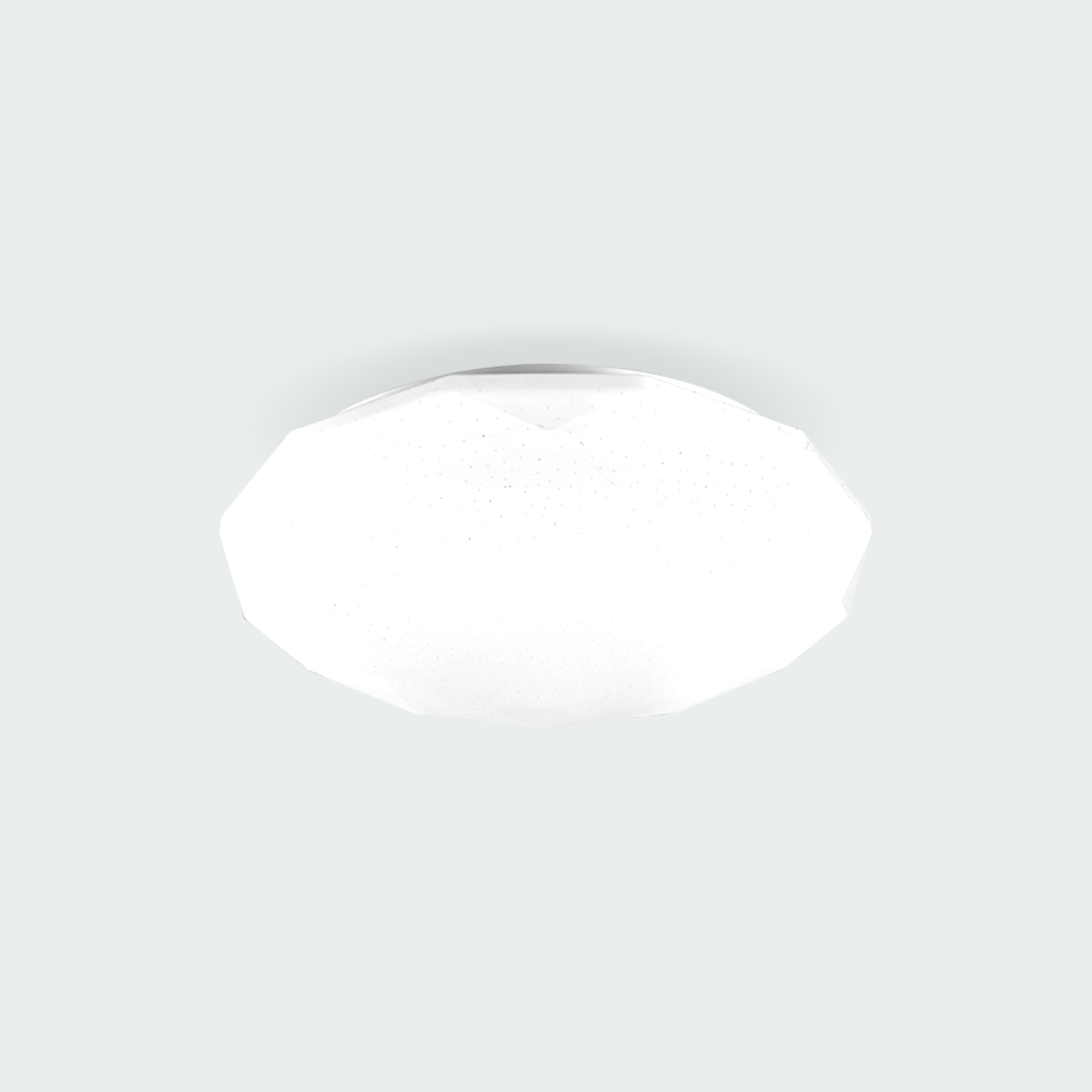 Ecolum LED Ceiling Lamp