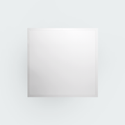 Ecolum LED Panel Light