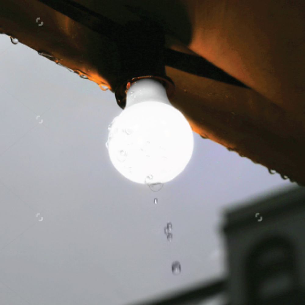 Firefly Basic Series LED 12V DC Water Resistant Bulb