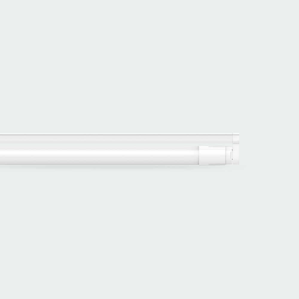 Firefly Basic Series LED T8 Tube