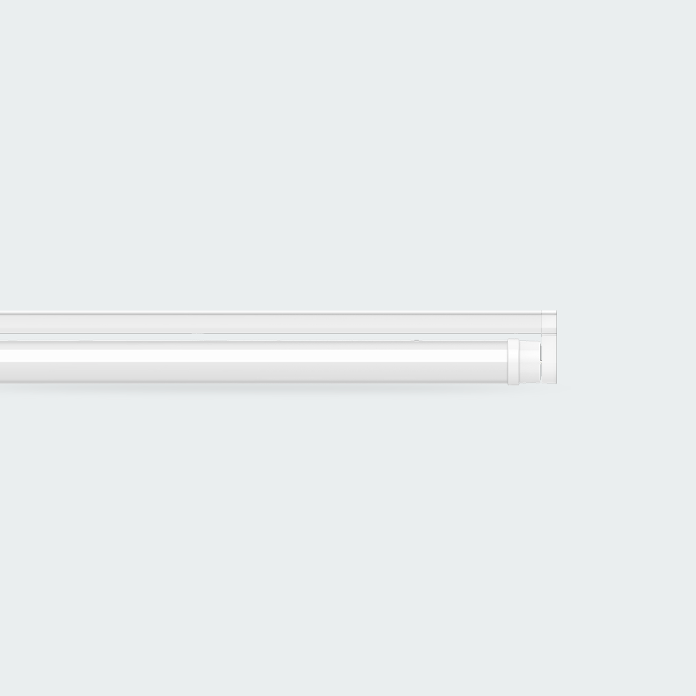 Firefly Basic Series LED T8 Tube