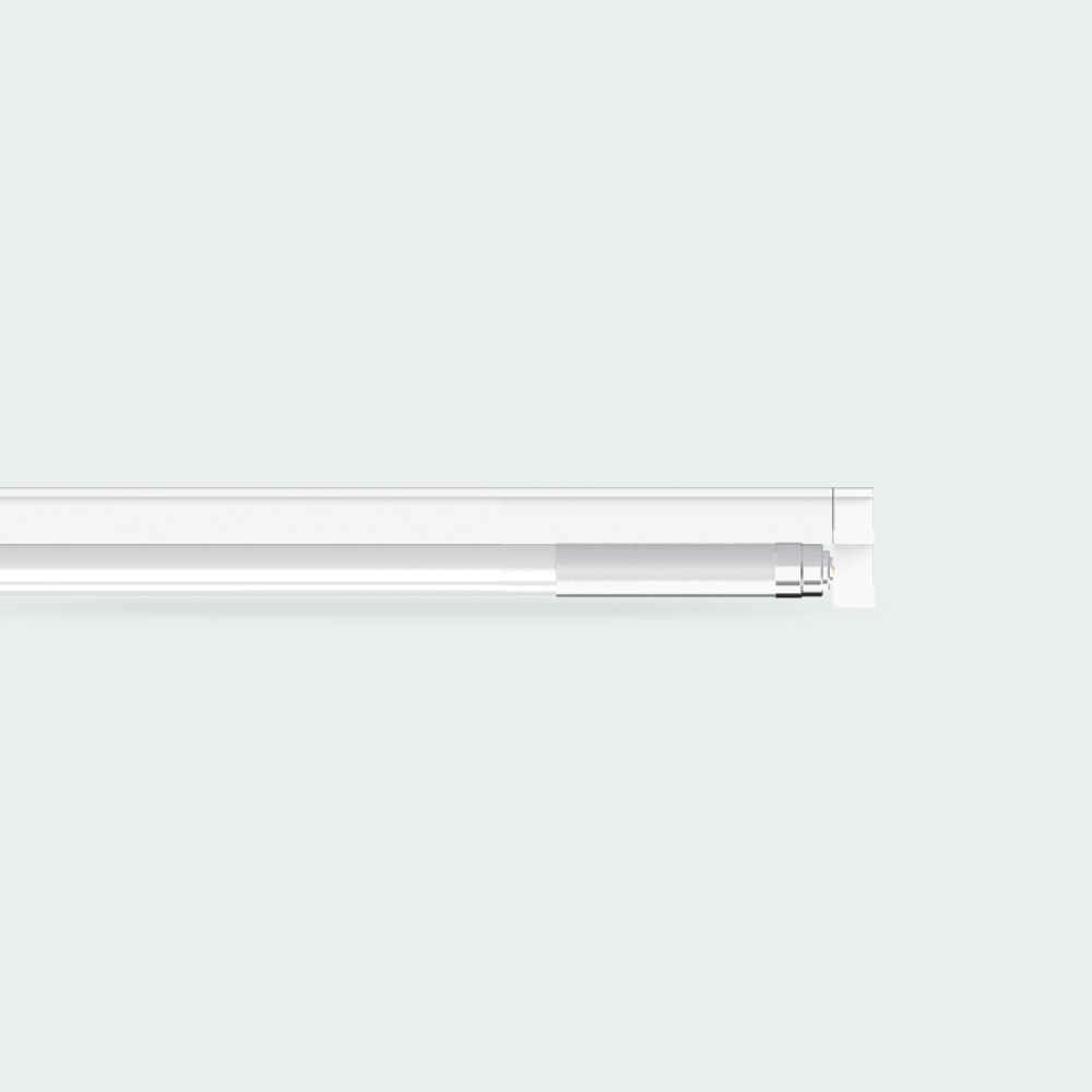 Firefly Basic Series LED T8 Tube