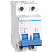 CHINT Miniature Circuit Breaker (MCB) - 2 Pole