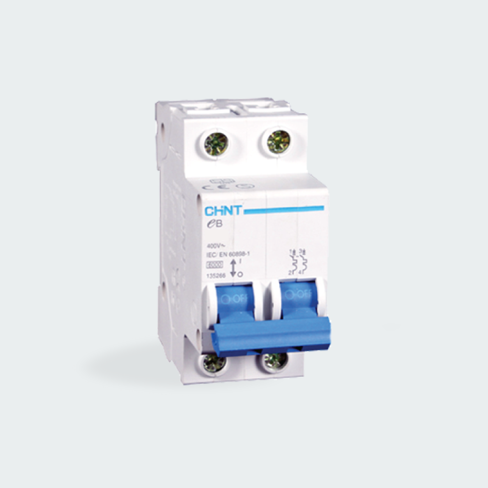 CHINT Miniature Circuit Breaker (MCB) - 2 Pole