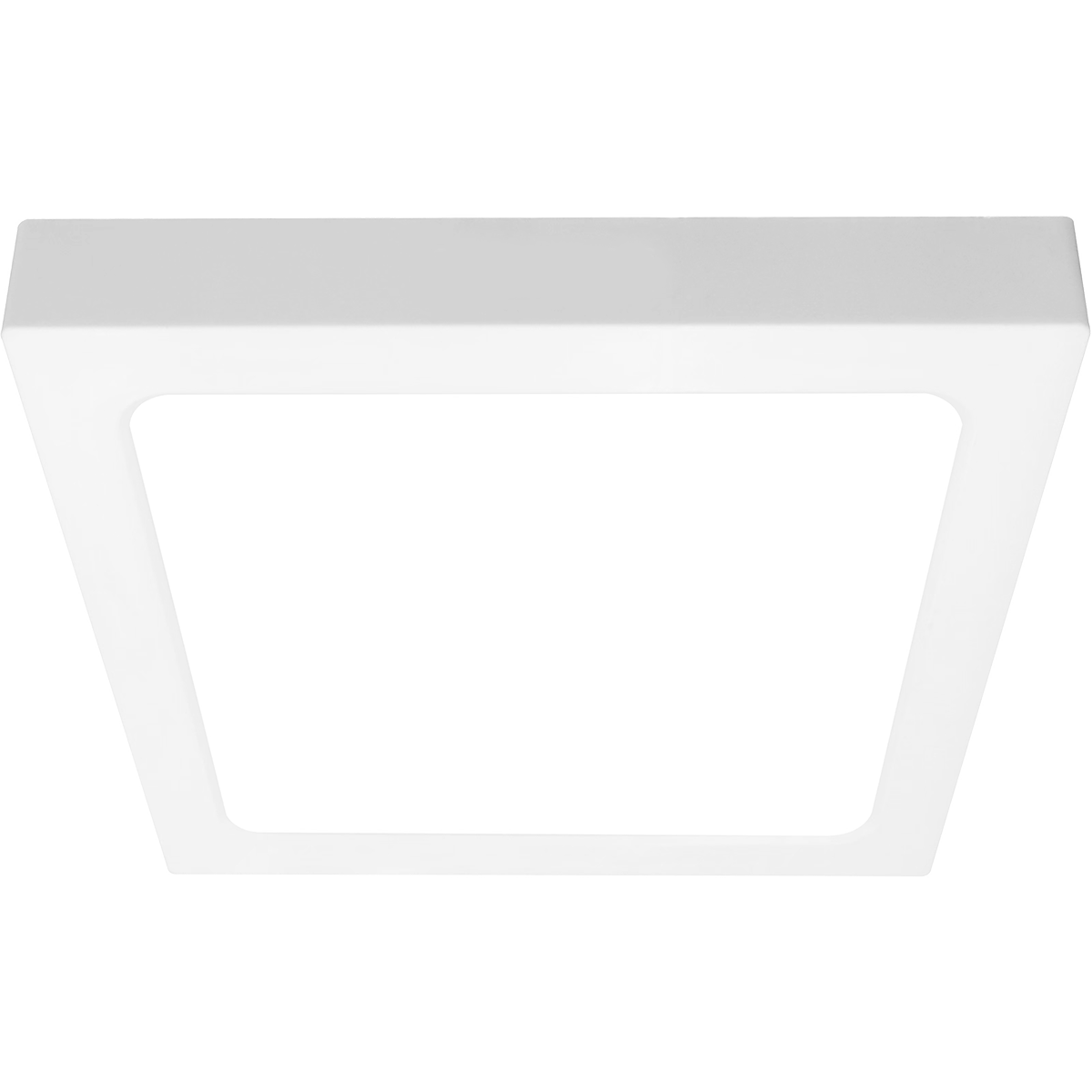 Firefly Basic Series Surface LED Downlights