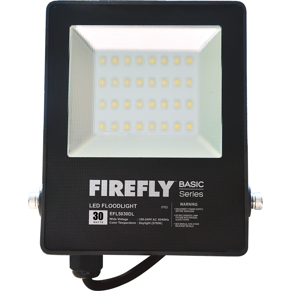 Firefly Basic Series LED Floodlight