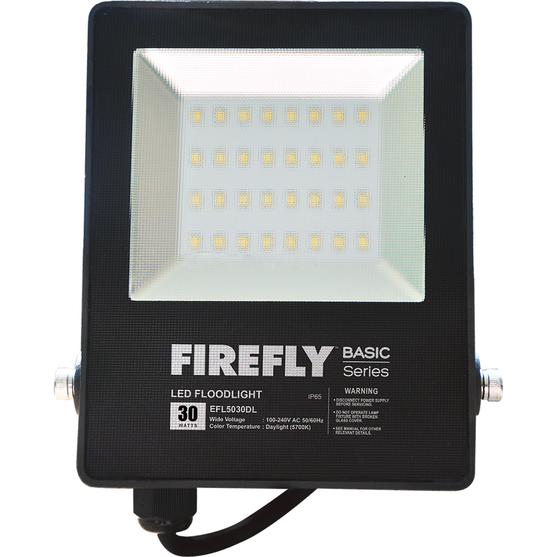 Firefly Basic Series LED Floodlight