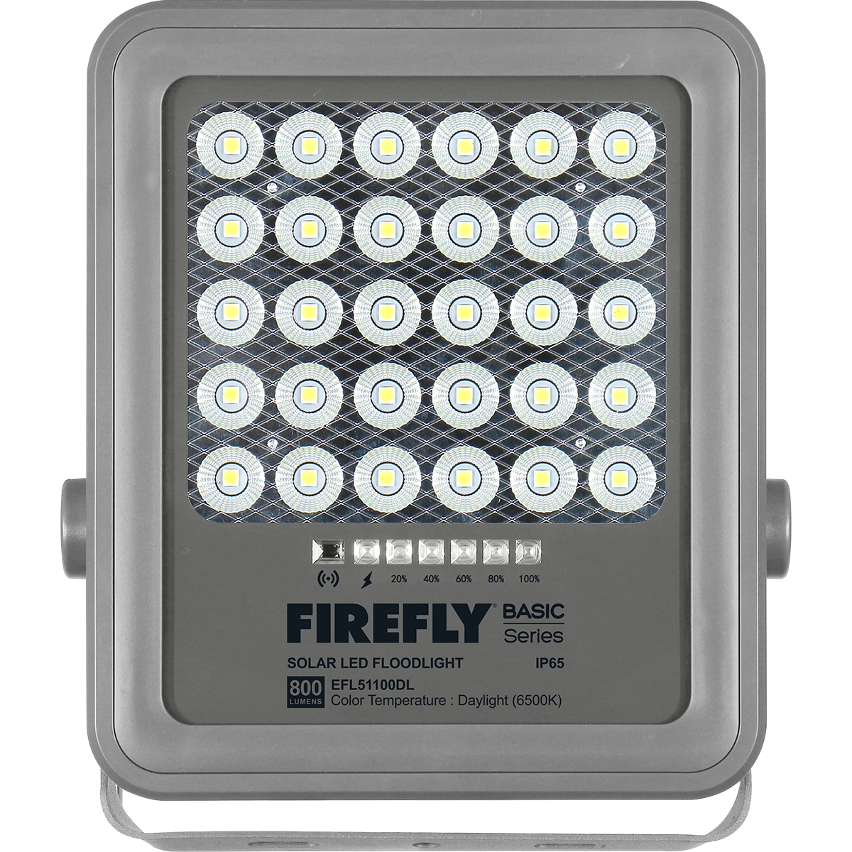 Firefly Basic Series Solar Floodlight