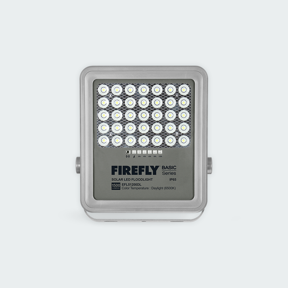 Firefly Basic Series Solar Floodlight