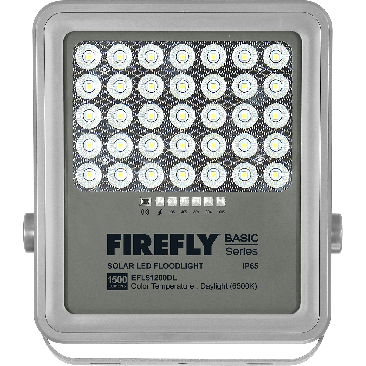 Firefly Basic Series Solar Floodlight