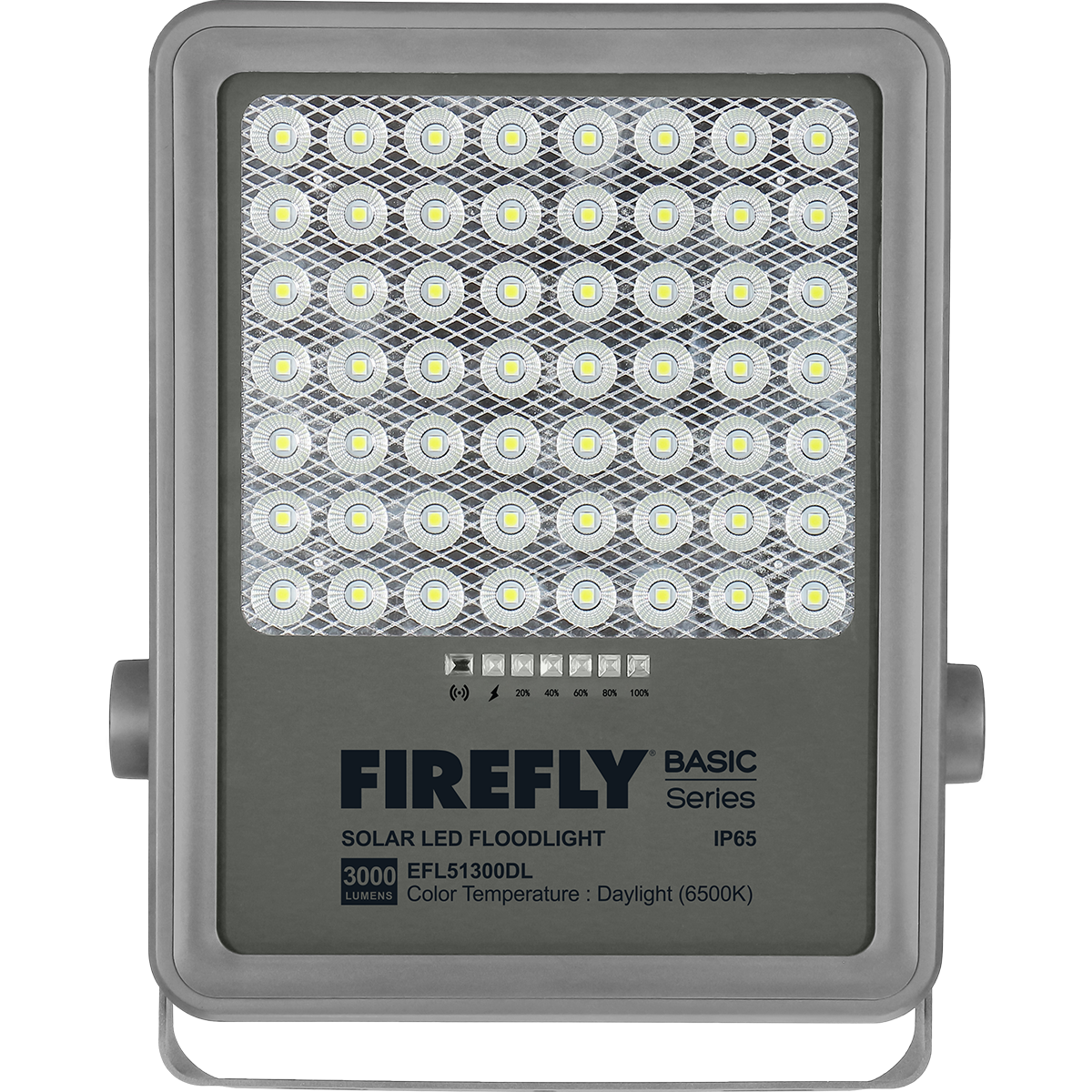 Firefly Basic Series Solar Floodlight