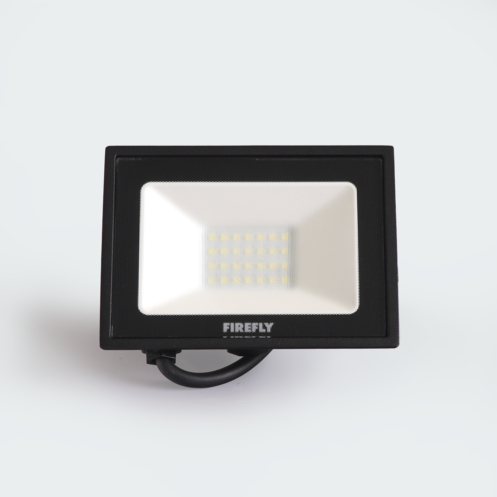 Firefly Basic Series Terra LED Floodlight