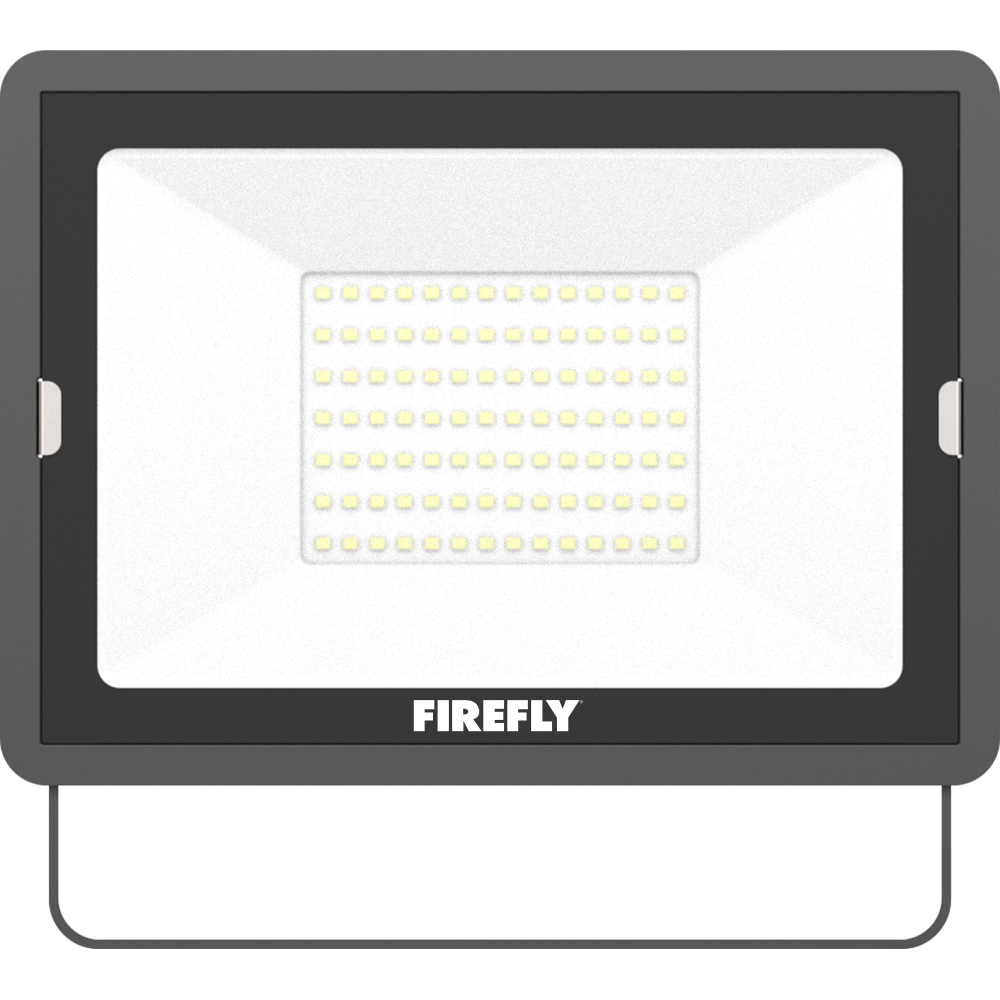 Firefly Basic Series Terra LED Floodlight