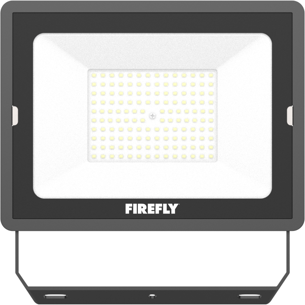 Firefly Basic Series Terra LED Floodlight – FELCO Store