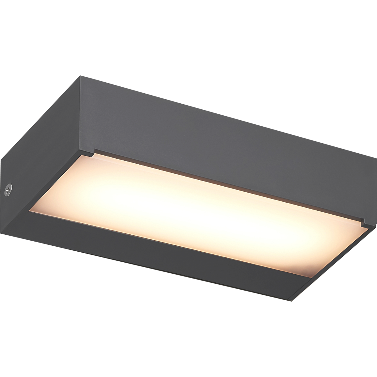 Firefly Wall Lamp
