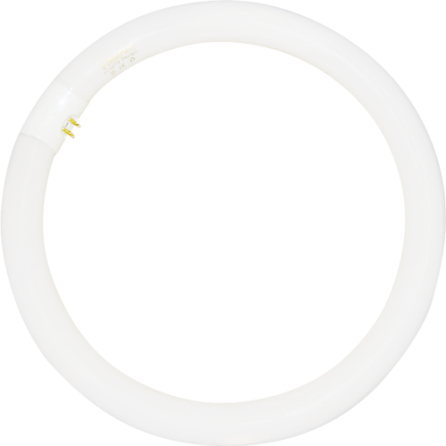 Firefly Circular Fluorescent Tube