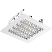 Firefly Pro Series LED Canopy Light