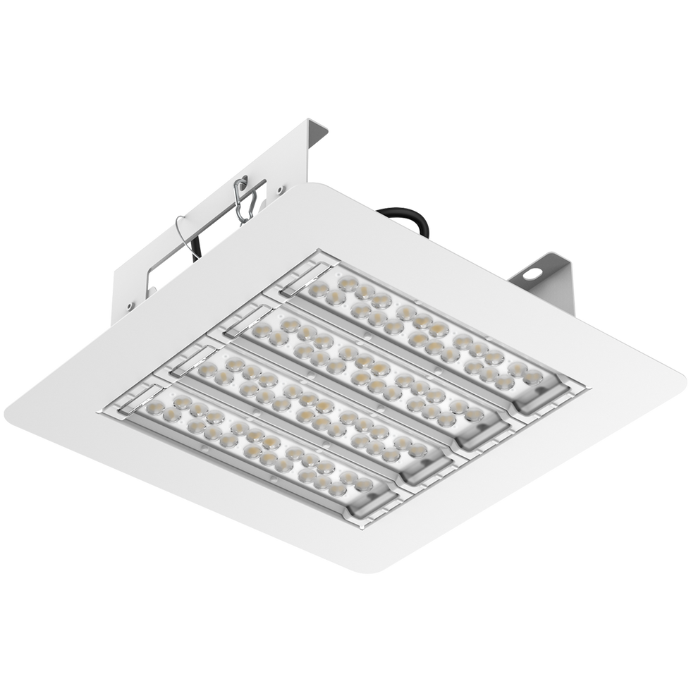 Firefly Pro Series LED Canopy Light – FELCO Store