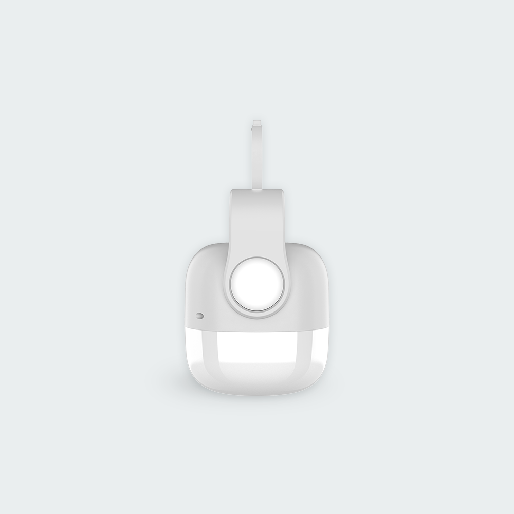 Firefly Rechargeable 2-in-1 Lamp with Torch Light