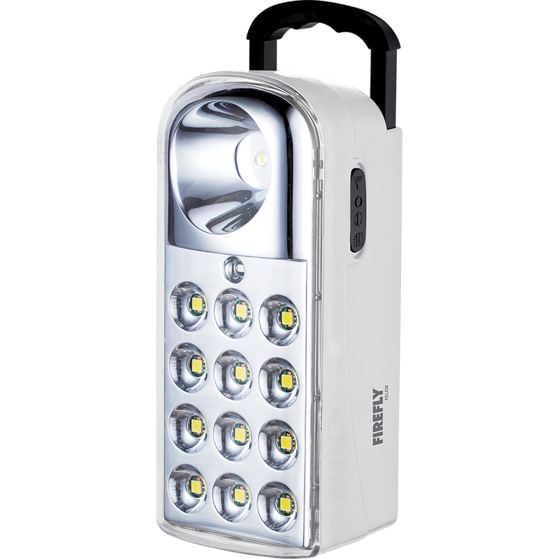 12 LED Handy Lamp w/ Torch Light and USB