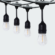 Firefly Decorative String Light 30ft + 1