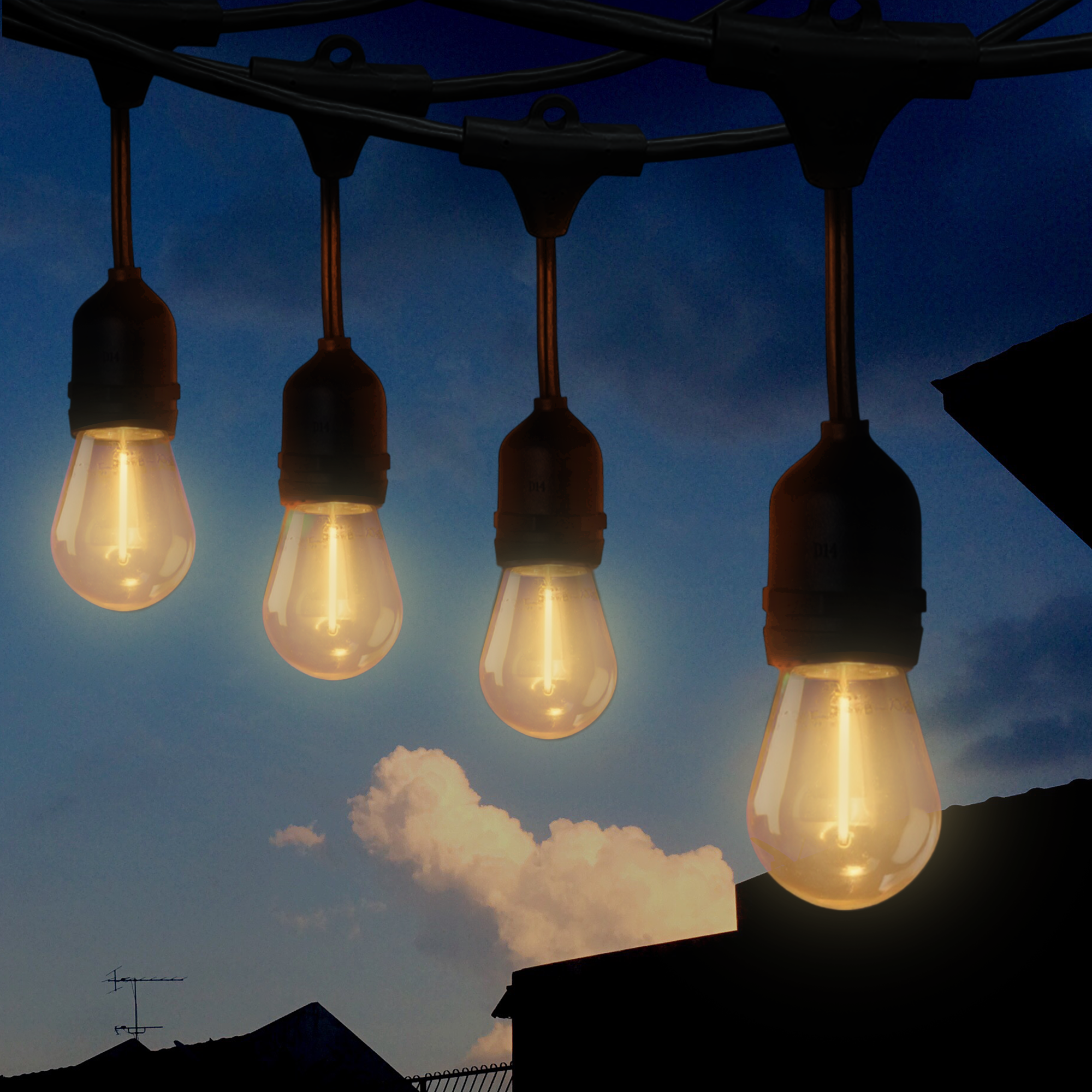 Firefly Decorative String Light 30ft + 1