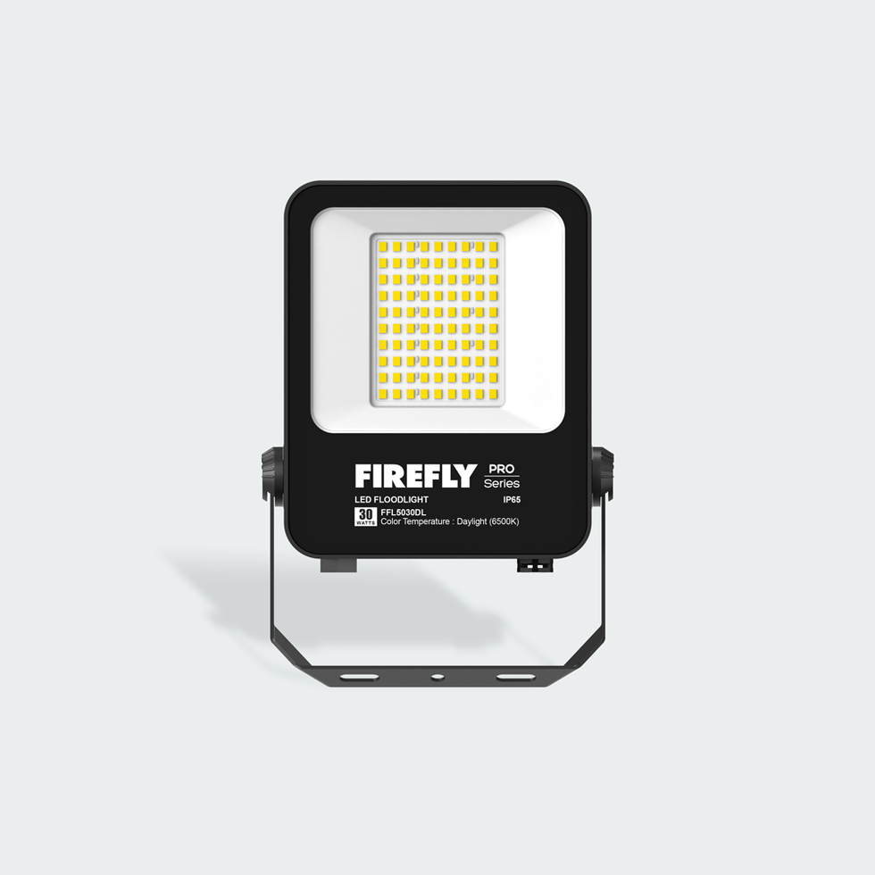 Firefly Pro Series LED Floodlight – FELCO Store