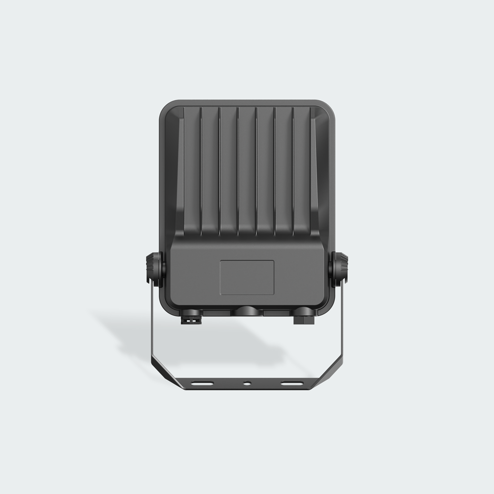 Firefly Pro Series LED Floodlight