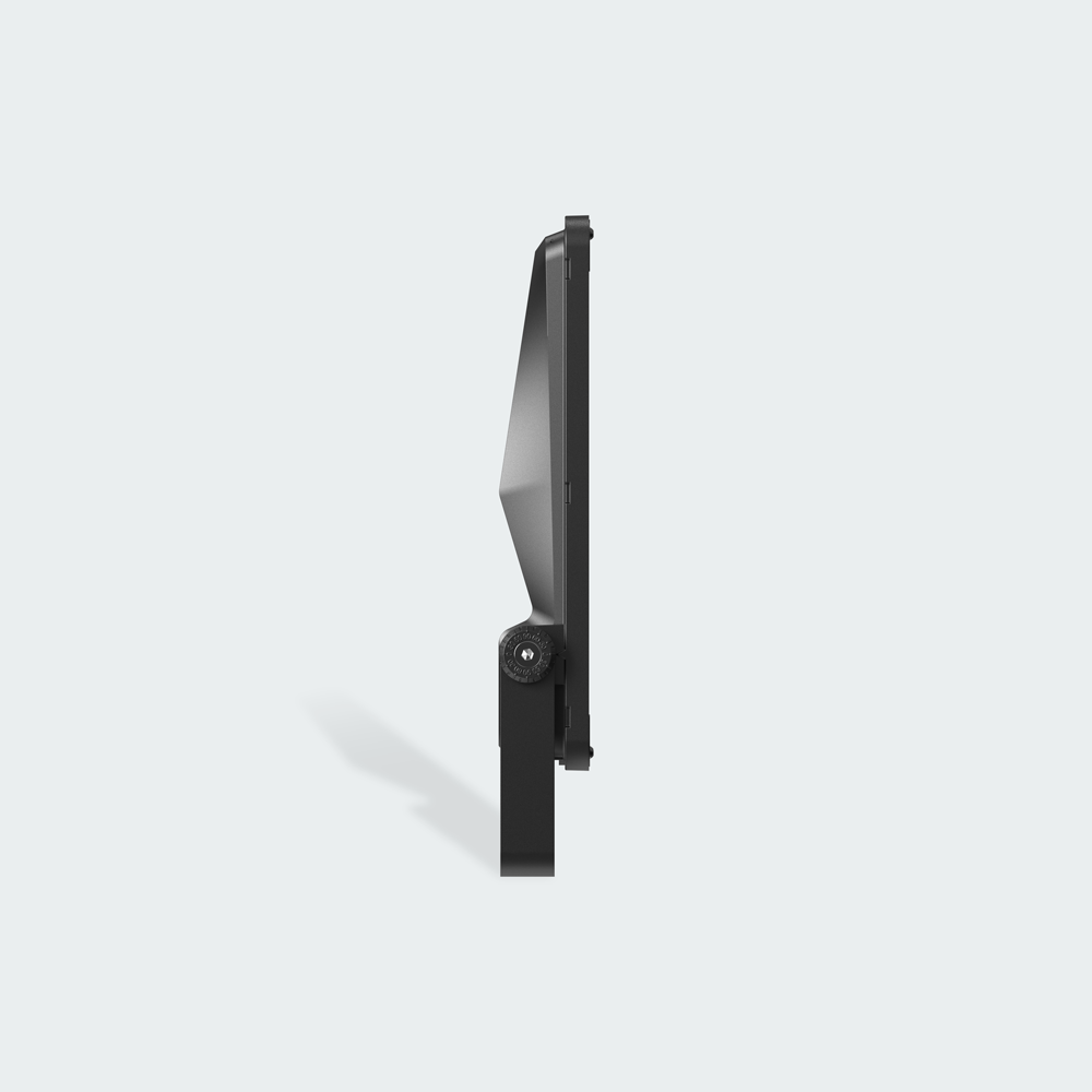 Firefly Pro Series LED Floodlight