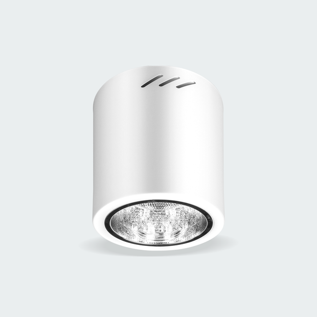 Firefly Surface Mounted Downlight Fixture – FELCO Store