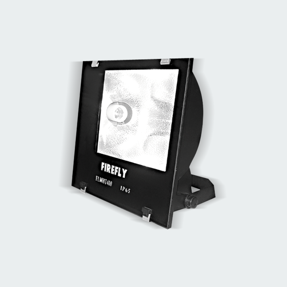 Firefly Metal Halide Floodlight Fixture