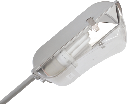 Firefly CFL Security Light