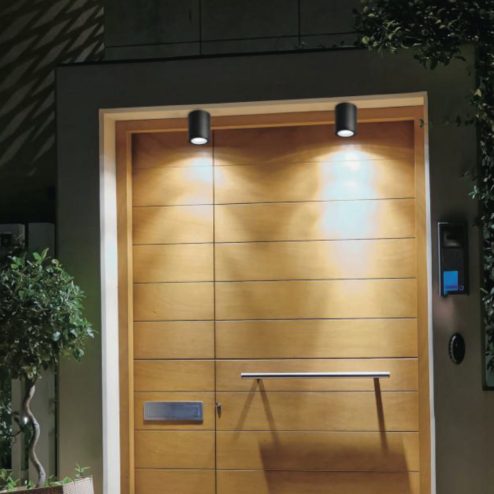 Firefly Ceiling Fixture