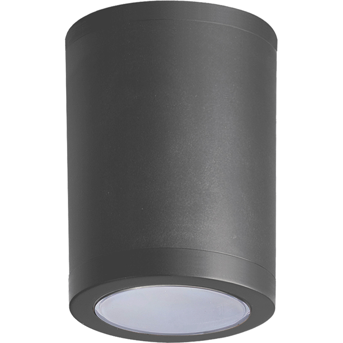 Firefly Ceiling Fixture