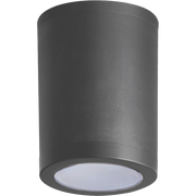 Firefly Ceiling Fixture
