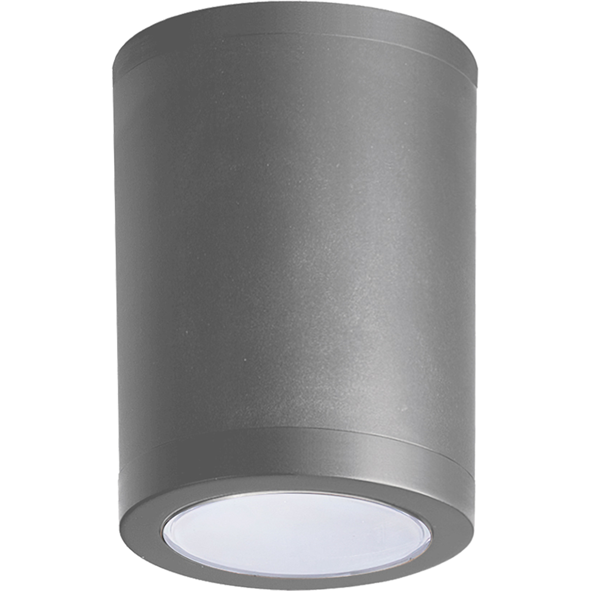 Firefly Ceiling Fixture