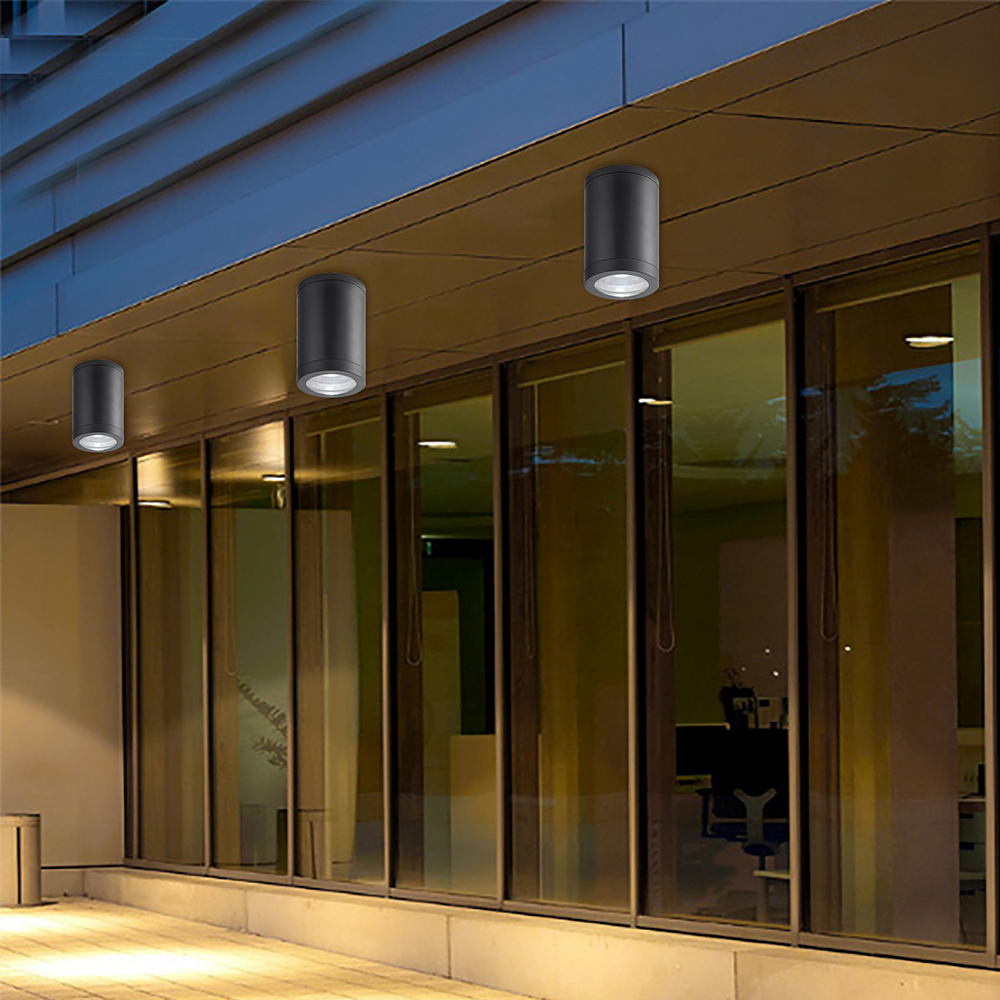 Firefly Ceiling Fixture