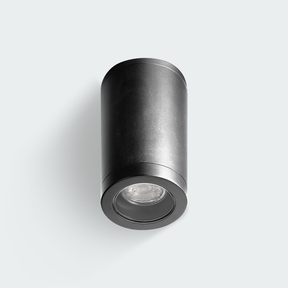 Firefly Ceiling Fixture