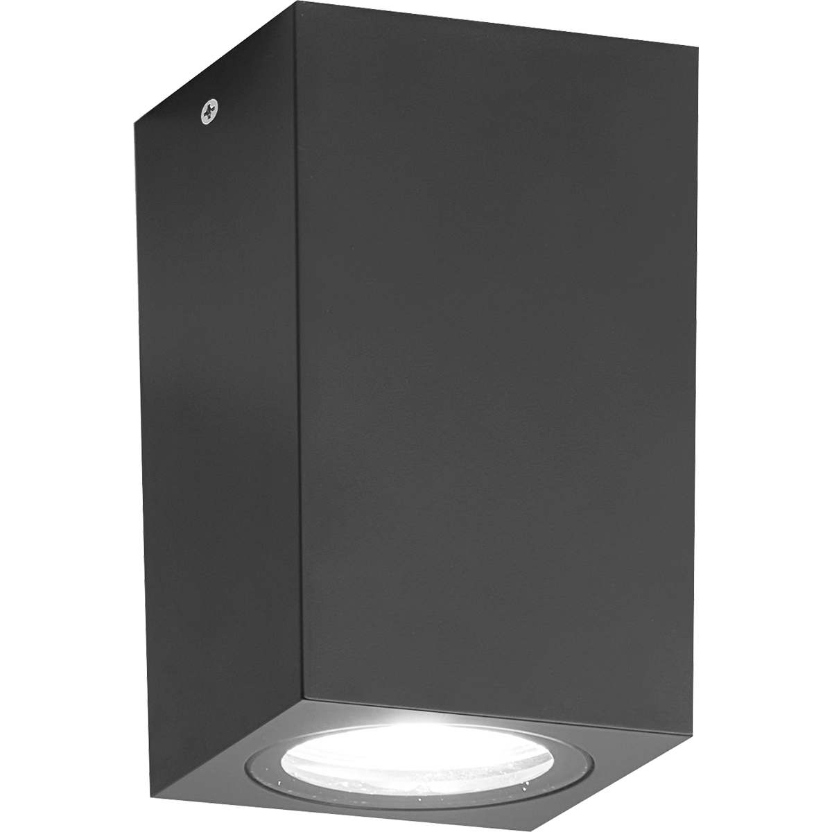 Firefly Ceiling Fixture