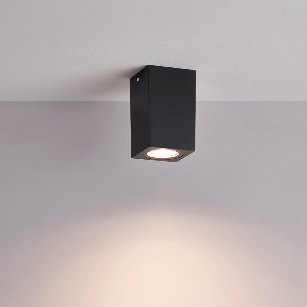 Firefly Ceiling Fixture