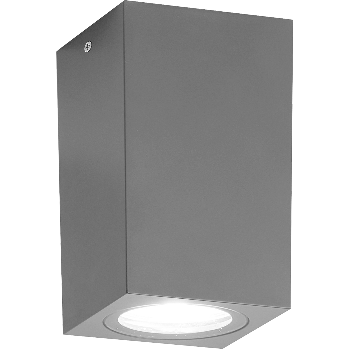 Firefly Ceiling Fixture