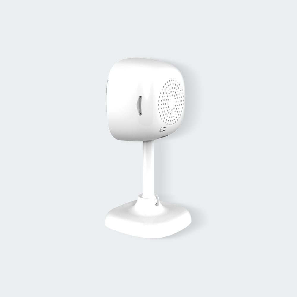 Firefly Smart Solutions Smart Adjustable Fixed Camera
